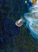 ophelia@hotmail.com - 2002
